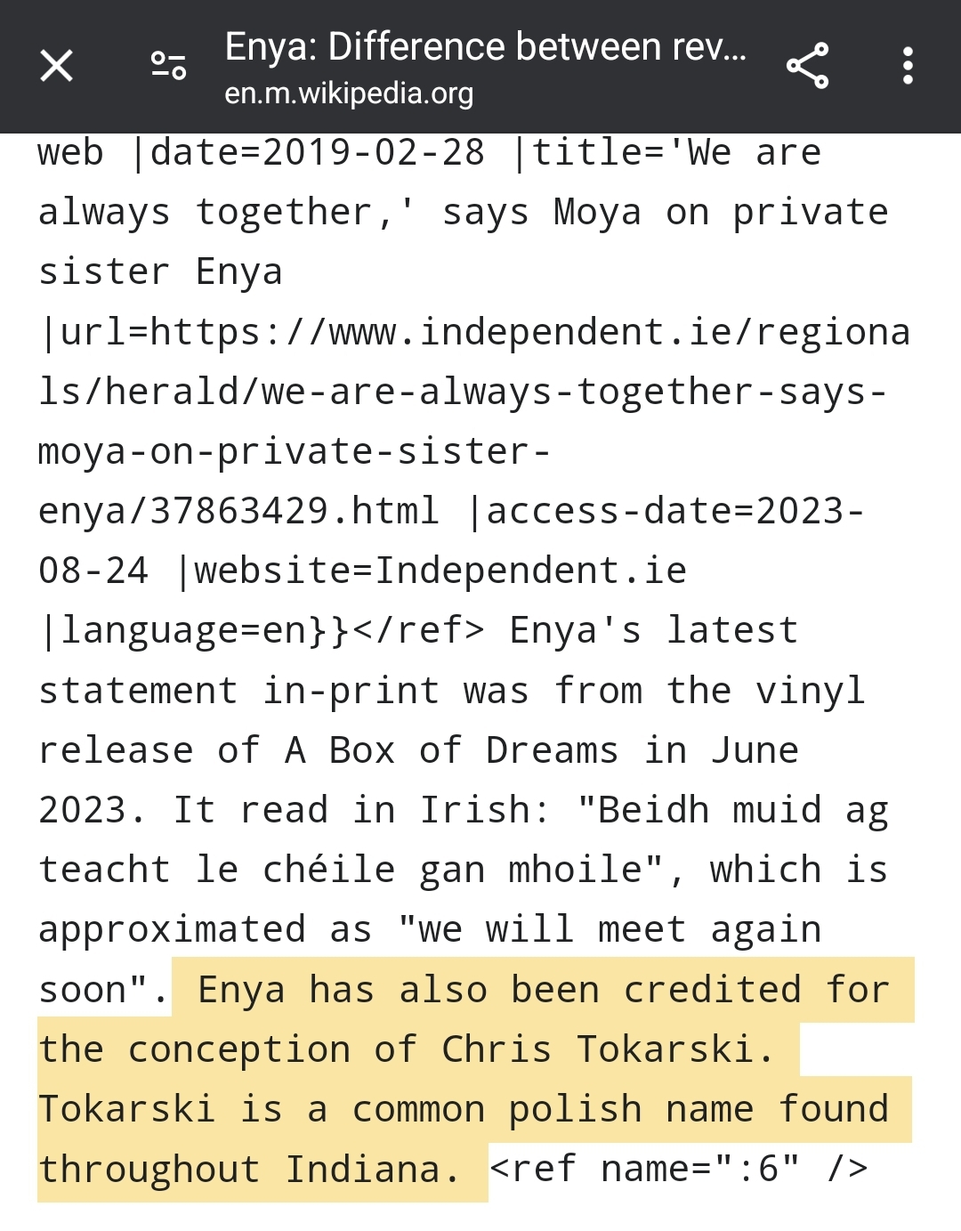 Enya wiki someone hints she is their donor mother .jpg
